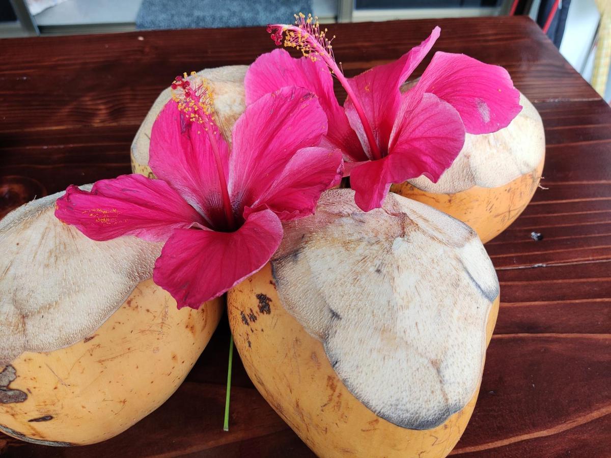 Riverside Mount Simpson - Seychelles Island 博瓦隆 外观 照片